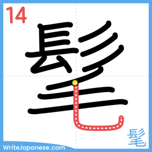 How to write "髦" - stroke 14