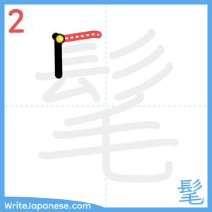 How to write "髦" - stroke 2