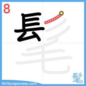 How to write "髦" - stroke 8