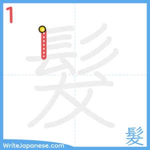 How to write "髮" - stroke 1