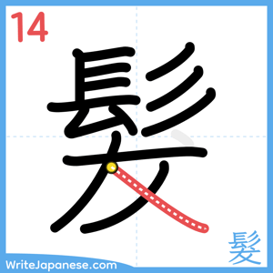 How to write "髮" - stroke 14