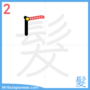 How to write "髮" - stroke 2