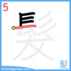 How to write "髮" - stroke 5