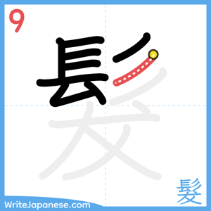 How to write "髮" - stroke 9