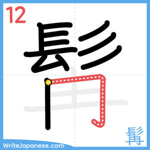 How to write "髯" - stroke 12