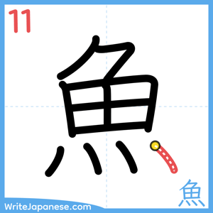 How to write "魚" - stroke 11