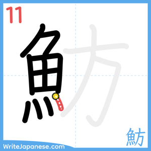 How to write "魴" - stroke 11