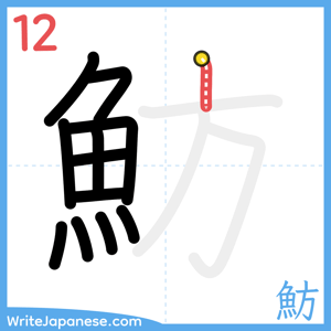 How to write "魴" - stroke 12