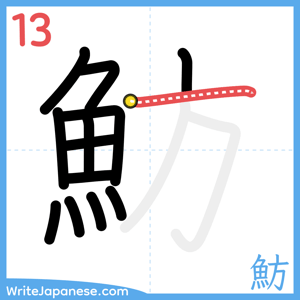 How to write "魴" - stroke 13