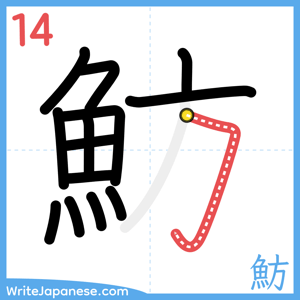 How to write "魴" - stroke 14