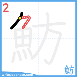 How to write "魴" - stroke 2