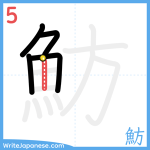 How to write "魴" - stroke 5