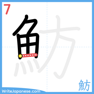 How to write "魴" - stroke 7