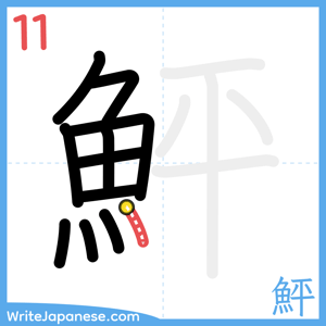 How to write "鮃" - stroke 11