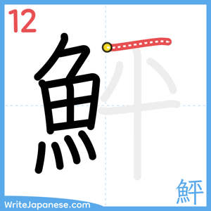 How to write "鮃" - stroke 12