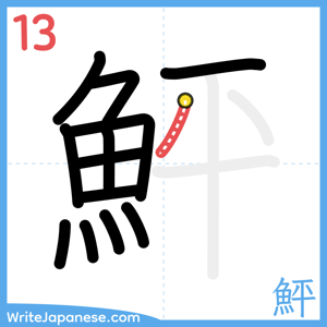 How to write "鮃" - stroke 13
