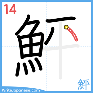 How to write "鮃" - stroke 14