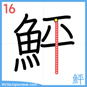 How to write "鮃" - stroke 16