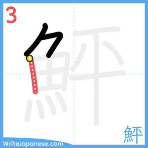 How to write "鮃" - stroke 3