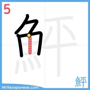 How to write "鮃" - stroke 5