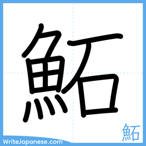 How to write "鮖" - complete stroke order