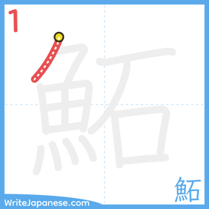 How to write "鮖" - stroke 1