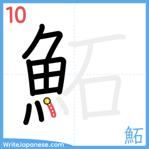 How to write "鮖" - stroke 10
