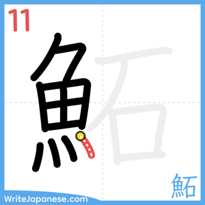 How to write "鮖" - stroke 11