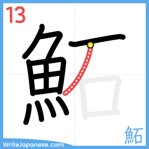 How to write "鮖" - stroke 13