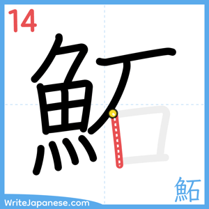 How to write "鮖" - stroke 14