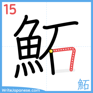How to write "鮖" - stroke 15