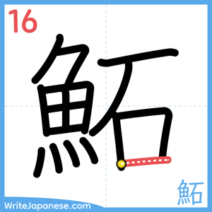 How to write "鮖" - stroke 16