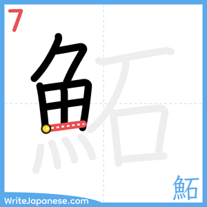 How to write "鮖" - stroke 7