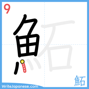 How to write "鮖" - stroke 9