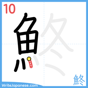 How to write "鮗" - stroke 10
