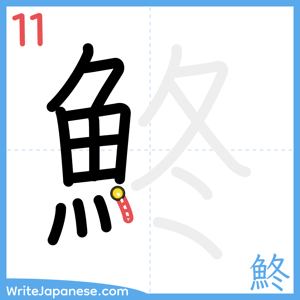 How to write "鮗" - stroke 11