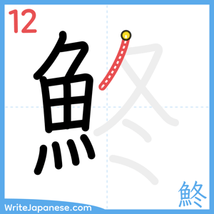 How to write "鮗" - stroke 12