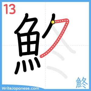 How to write "鮗" - stroke 13