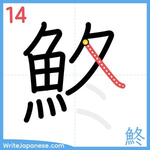 How to write "鮗" - stroke 14