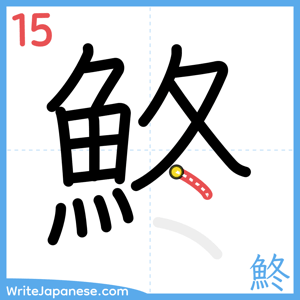 How to write "鮗" - stroke 15