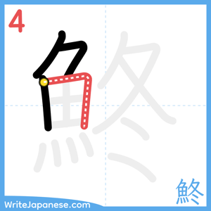How to write "鮗" - stroke 4