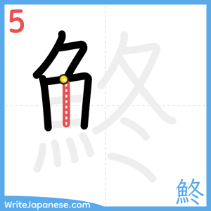 How to write "鮗" - stroke 5