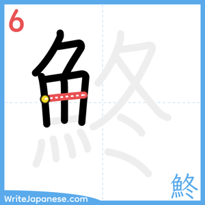 How to write "鮗" - stroke 6