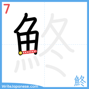 How to write "鮗" - stroke 7