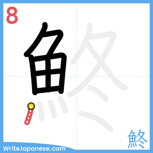 How to write "鮗" - stroke 8
