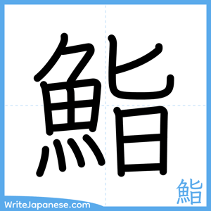 How to write "鮨" - complete stroke order