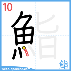 How to write "鮨" - stroke 10