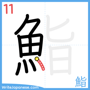 How to write "鮨" - stroke 11