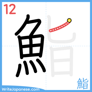 How to write "鮨" - stroke 12