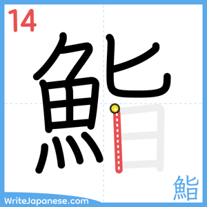 How to write "鮨" - stroke 14